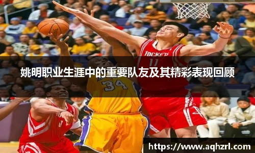 mk体育官网登录平台