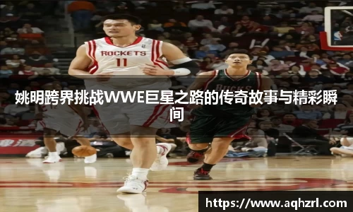 mk体育(MKsports集团)股份公司