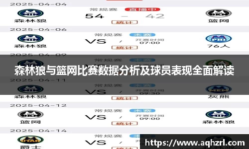 森林狼与篮网比赛数据分析及球员表现全面解读