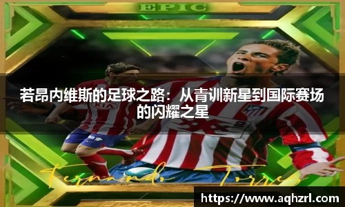 mk体育